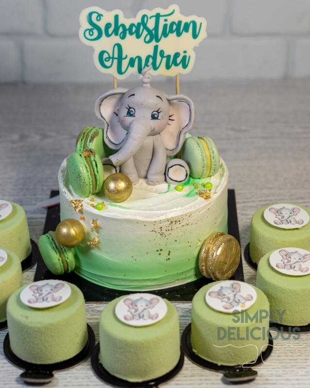 20230204-DSC06748-Animalute-Botez-elefant-macarons-Monoportii-verde