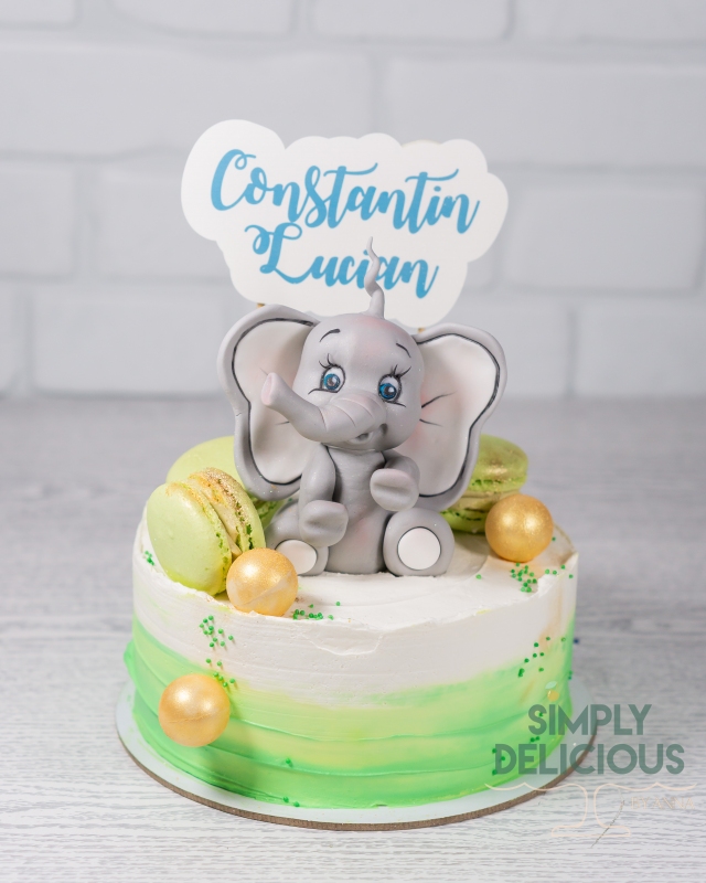 20231014-20231014-DSC09351elefant-figurine-modelate-verde