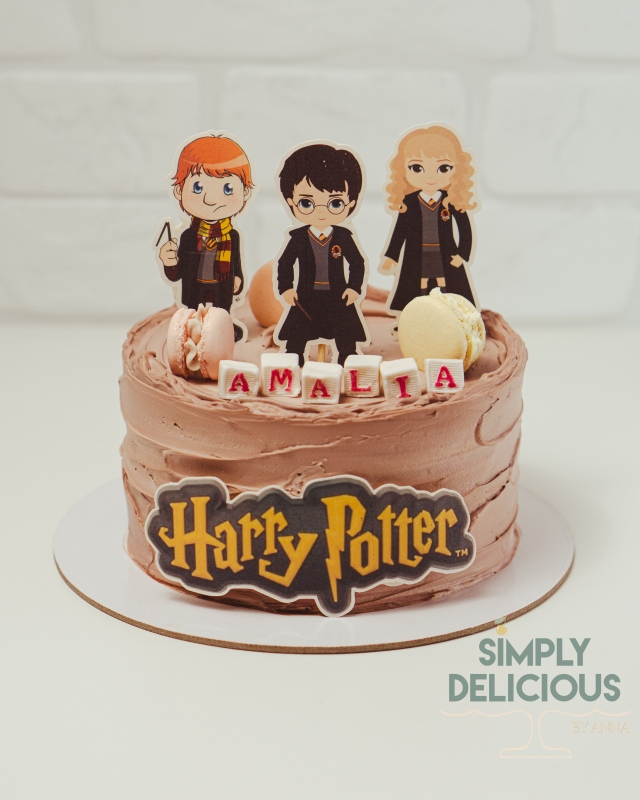 20240302-20240302-DSC00511ciocolata-figurine-din-foaie-de-zahar-harry-potter